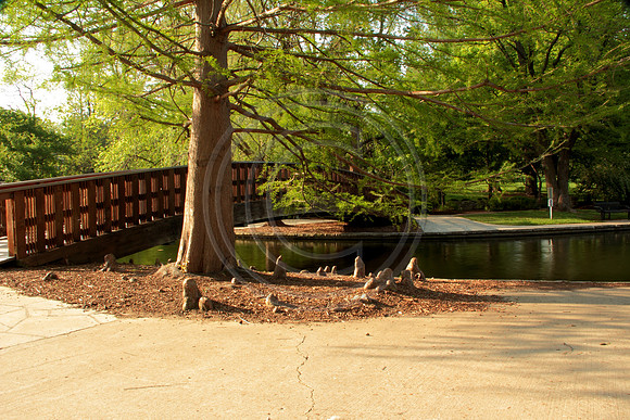 loosepark 2011may4