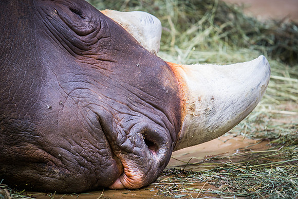 denver zoo 09082014-22