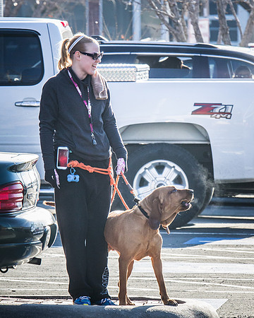 dog day 04052014-17