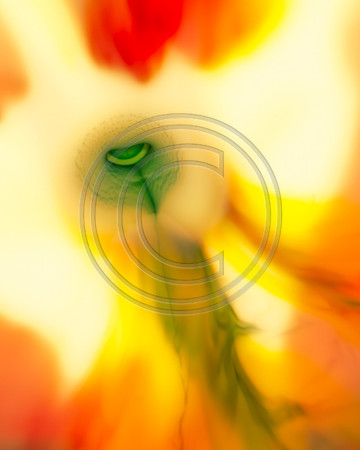swirls-39