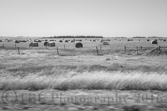 Out of the Car Window